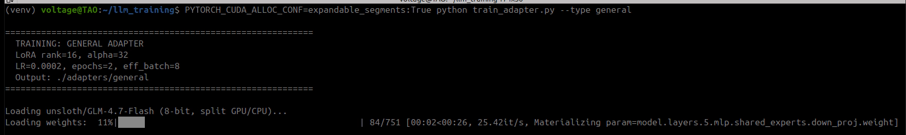Model loading in progress — 8-bit quantized, split across GPU and CPU