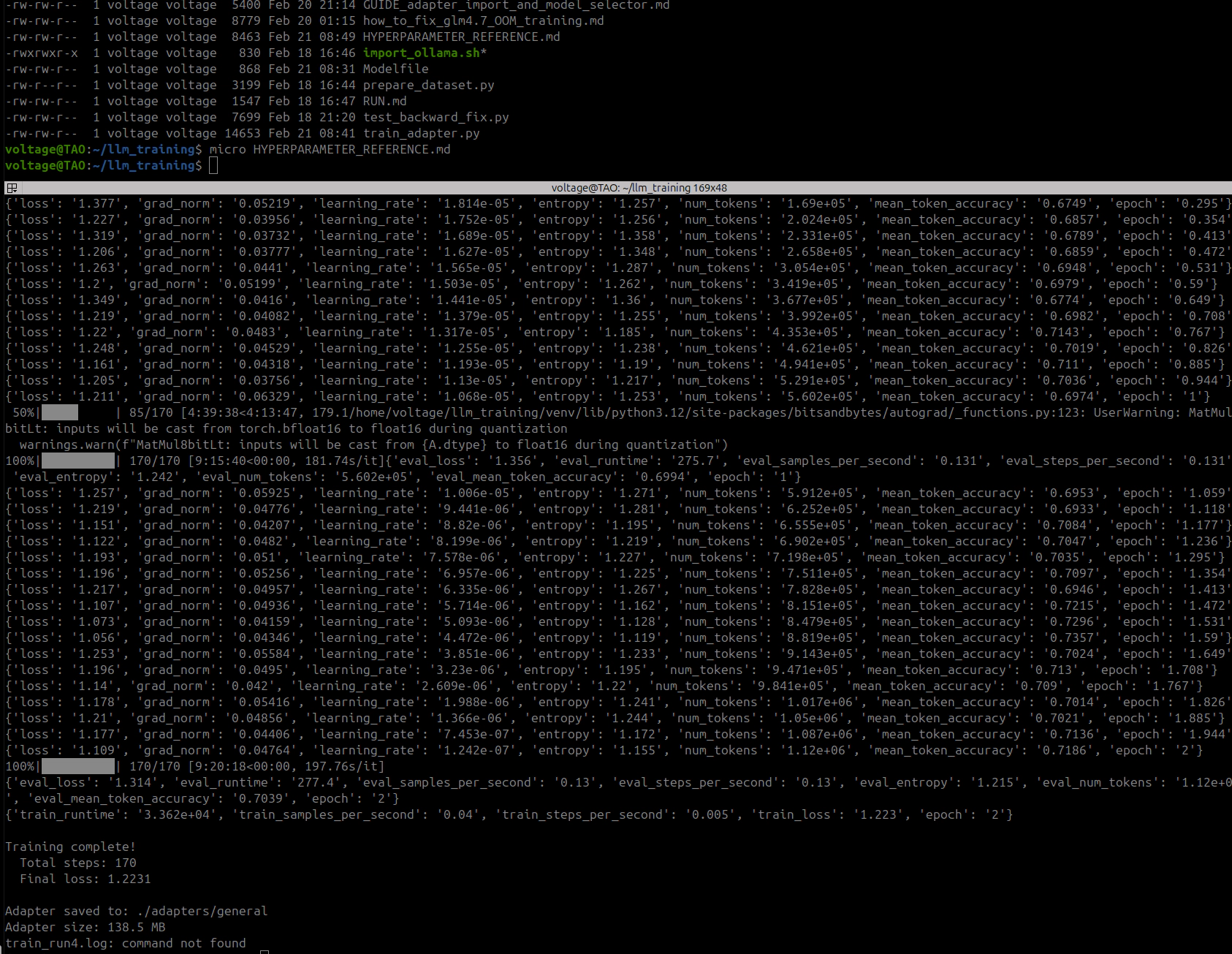 Run 3 training complete — full training log showing both epochs and final adapter save